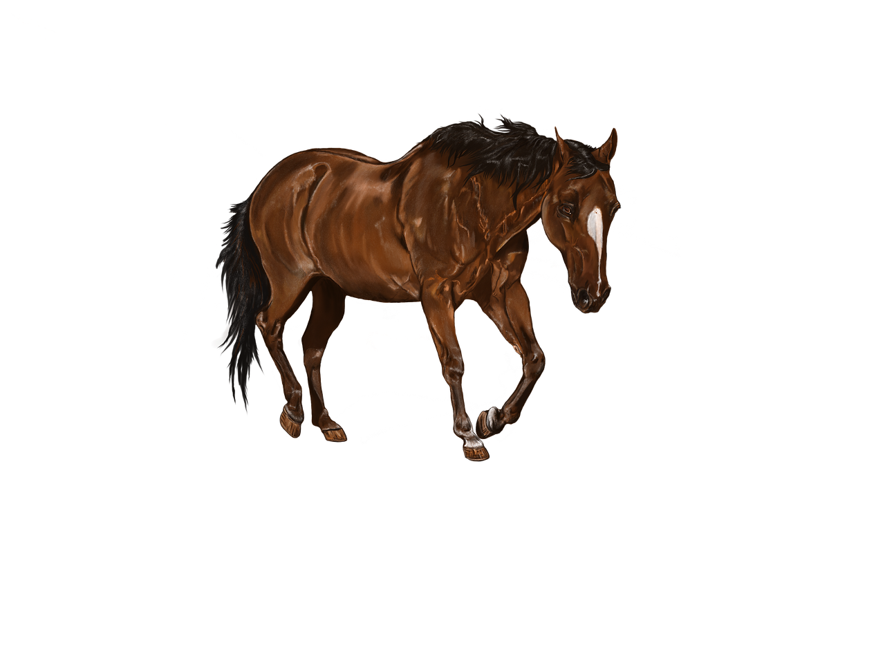 best place to buy stocks for beginners — Best Place To Buy Stocks For Beginners visual insight