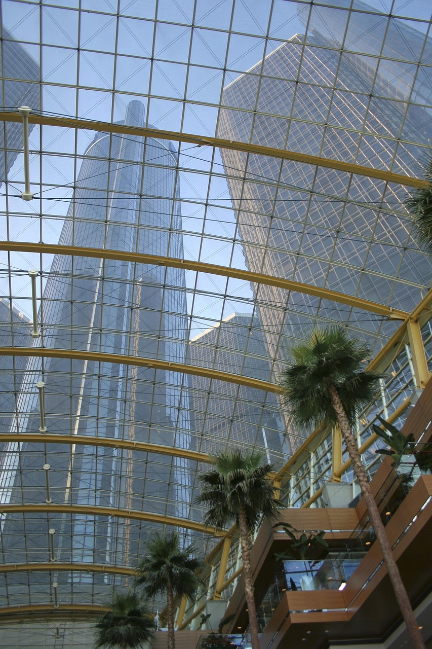 crypto developer — Crypto Developer visual insight